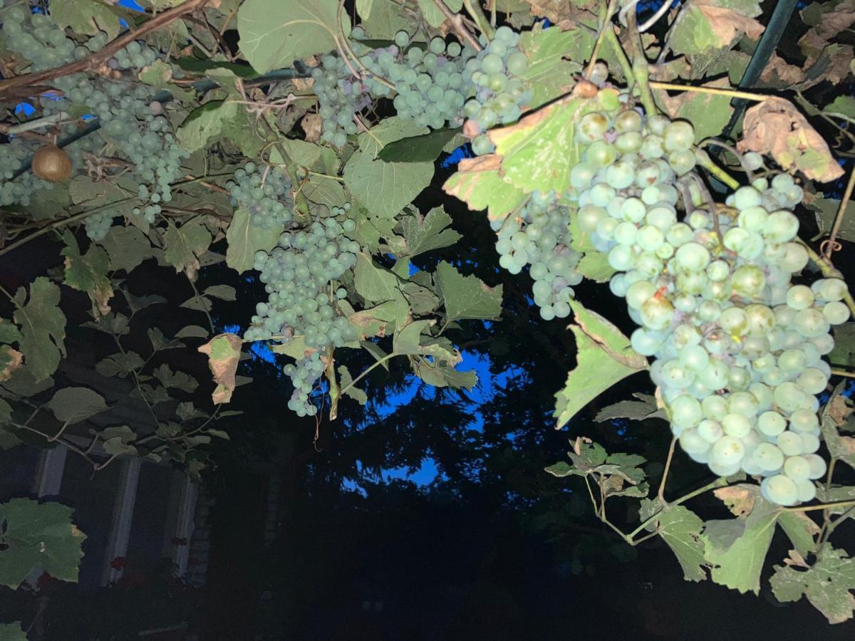Garden View Apartment ズノイモ エクステリア 写真